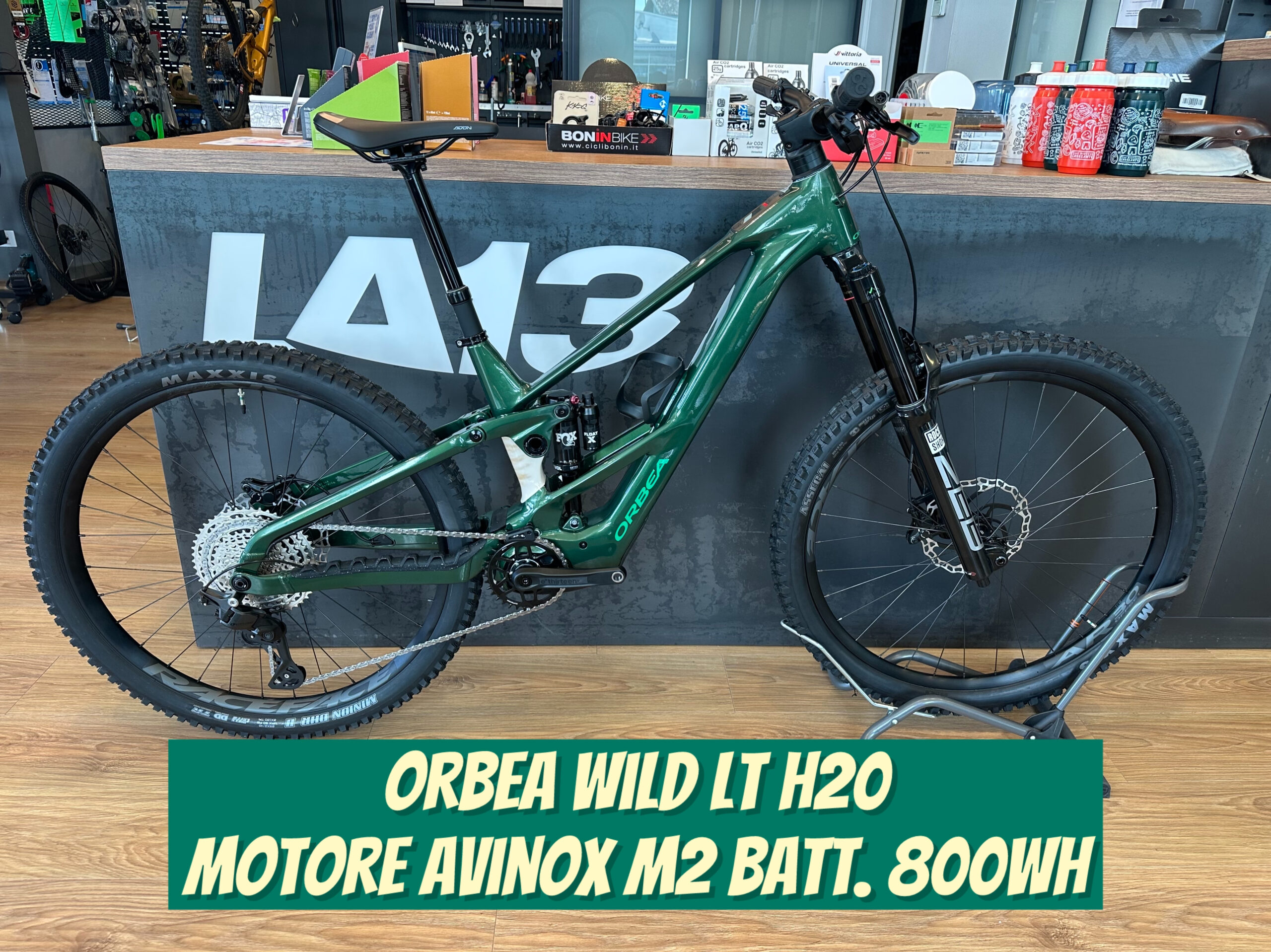 Orbea Wild LT H20 - Avinox M2