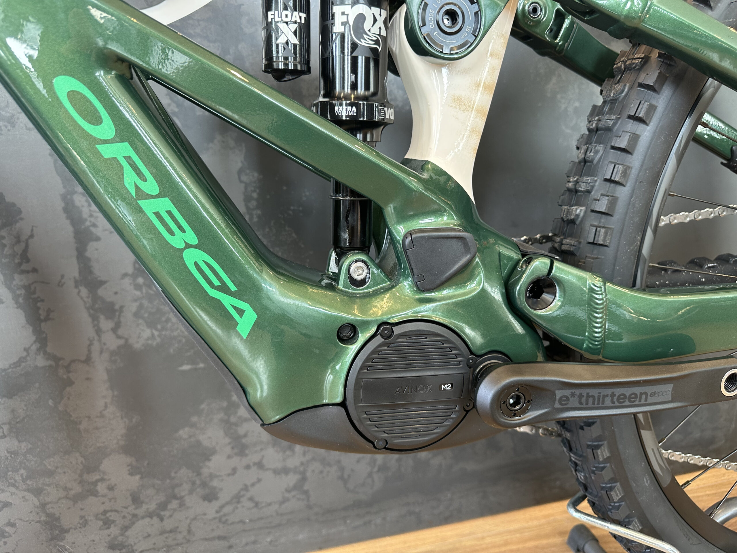 Orbea Wild LT H20 - Avinox M2 - immagine 4