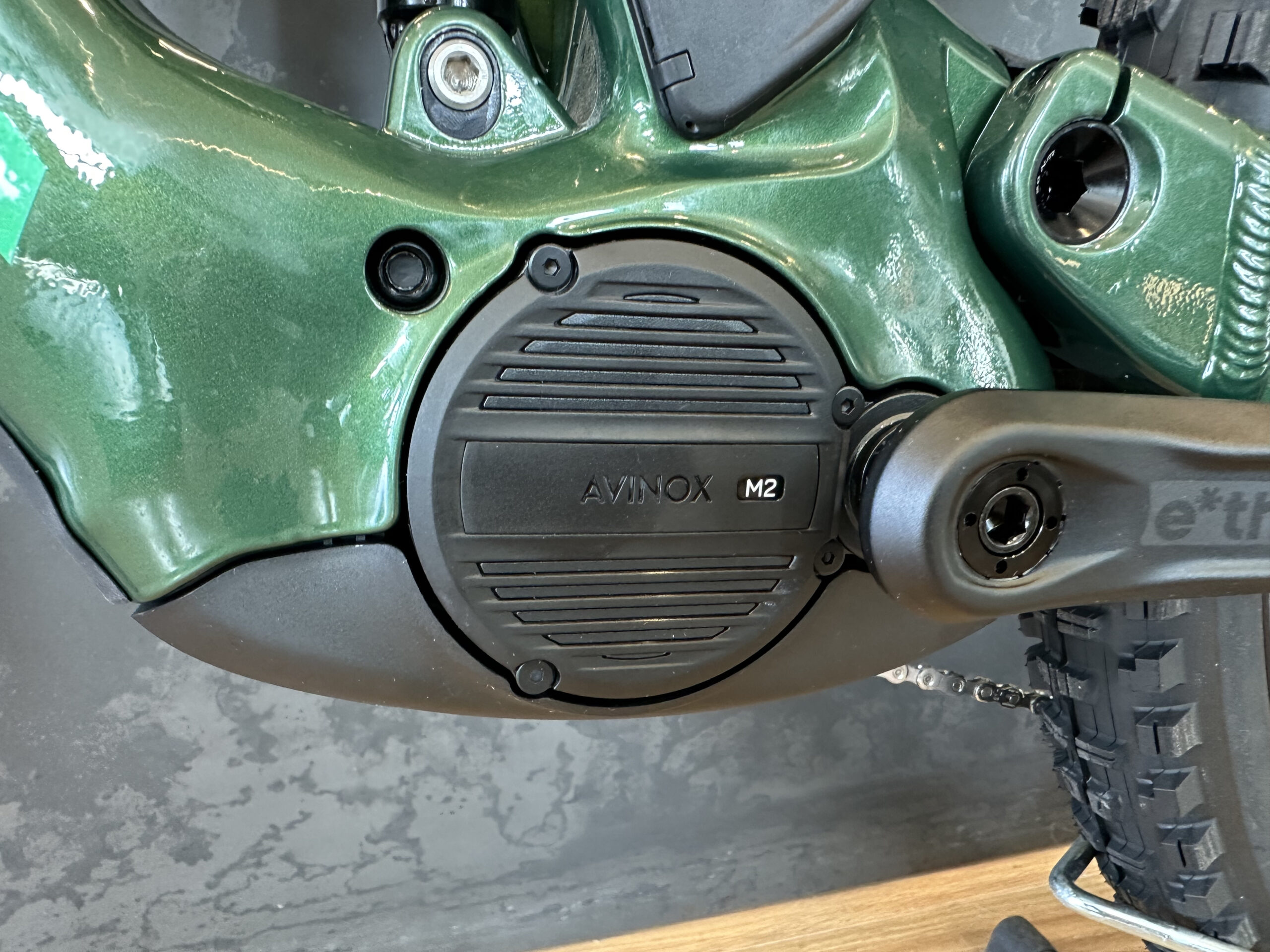 Orbea Wild LT H20 - Avinox M2 - immagine 3